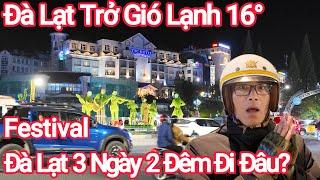 Đà Lạt Trở Gió Lạnh 16°, Festival Hoa 3 Ngày 2 Đêm Đi Đâu?