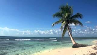  Relaxing 3 Hour Video of Tropical Beach with Blue Sky White Sand and Palm Tree