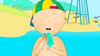 Caillou à la Plage | Les Nouvelles Aventures de Caillou | Caillou en Français