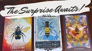 The rewards & results coming your way  pick a card | timeless reading