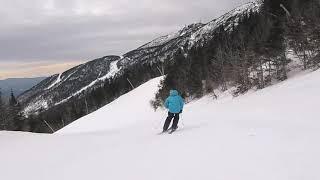 2020 Ski Test - Blizzard Bushwacker Skis