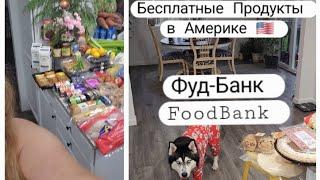 #фудбанквсша БЕСПЛАТНЫЕ Продукты в Америке  Экономия #штатВашингтон #США #foodbank #usa #wa