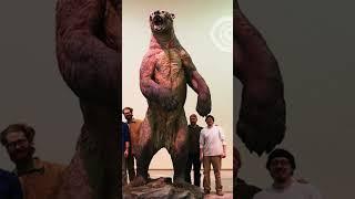 How current animals looked like in prehistoric times #titanboa #shortfacedbear