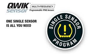 NAPA® Echlin® Single Sensor TPMS Program