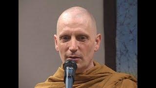 Ajahn Sona 20 Years a Monk