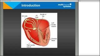 Cardio2D Webinar Recording 3pm