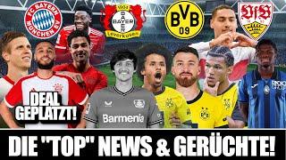 VFB MILLOT VERKAUF!? BILAL TOURE GERÜCHT - MAZRAOUI WEST HAM DEAL PLATZT! - AZMOUN VERKAUF! BVB NEWS