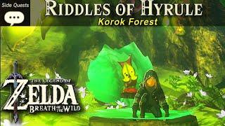 Riddles of Hyrule | Zelda, BOTW Side Quest Tutorial