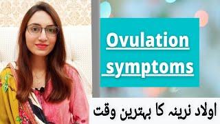 Ovulation symptoms and pregnancy | Ovulation symptoms in urdu hindi | mommy expertise