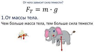 7  класс урок №24  Явление тяготения и сила тяжести.  Вес тела.