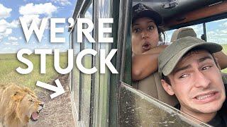 Safari VLOG: Stranded in the Serengeti, Witnessing the Great Migration, Luxury Camps, and More!