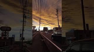 senja di jepang #shorts #short #shortvideo