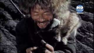 DUNYO BOʻYLAB  Amur Osiyo Amazonkasi  Uzbek tilida  ▷ 2.Qism #Alpqomatlar #bear Hujjatli film