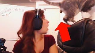 10 Most Embarrassing Moments Caught Live On Twitch