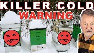 Beekeeping | How To Help Your Bees Through This Cold Snap