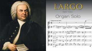 J.S. Bach - LARGO from Double Violin Concerto BWV 1043 (Organ Solo)