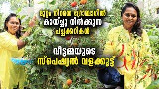 വീട്ടമ്മയുടെ സ്പെഷ്യൽ വളക്കൂട്ടിൽ ​മുറ്റം നിറയെ ഗ്രോബാ​ഗിൽ കായ്ച്ചു നിൽക്കുന്ന പച്ചക്കറികൾ