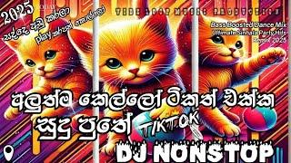 Special Party DJ Remix Sinhala Song 2024 | Bass Boosted Sinhala DJ Remix | Nonstop Hits 2024