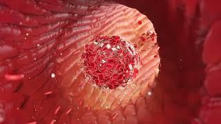 Blood clot Formation, Red cells, vellum simulation Houdini 19.5 Hip file, medical animation,Karma