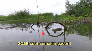 BER TAHUN-TAHUN JADI TUKANG MANCING ini spot yang paling gacor full ikan gemuk