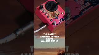 Discover The Walrus Audio Melee Pedal