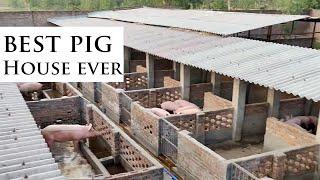 You Will Love This Style Of Modern Pig House Building (Modern Pig Farming Success)