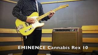 EMINENCE speaker comparison 1058 vs Cannabis Rex 10  (drive)