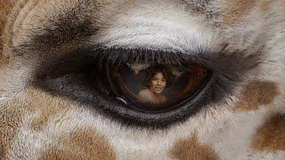 See Conservation from a New Perspective | San Diego Zoo Safari Park