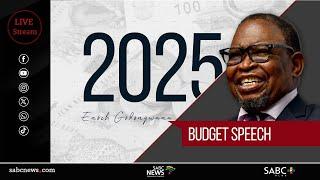 Budget Speech 2025 I Finance Minister Enoch Godongwana faces Parliament committees