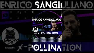 Enrico Sangiuliano - X-Pollination Original Mix #meowmusicdb #techno #housemusic #dj #short