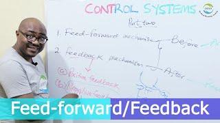 Feed-forward & Feedback Mechanisms