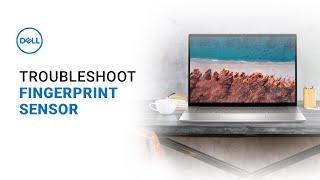 Fingerprint Sensor Not Working Dell Laptop (Official Dell Tech Support)