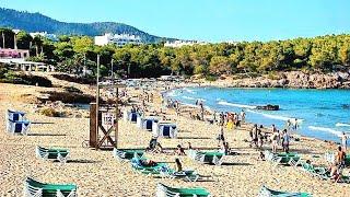 Ibiza Cala Nova Walk Tour - SEE the best of it!