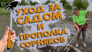 Как избавиться от сорняков | Прополка и уход за садом | Инструменты для быстрой прополки ОГОРОДА