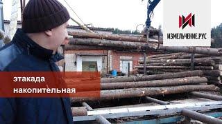 Приемка, подача, сортировка круглого леса| Эстакада накопительная