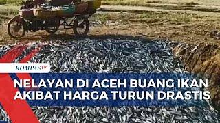 Sepi Pembeli dan Harga Turun Drastis, Nelayan di Aceh Terpaksa Buang Ikan Tangkapan