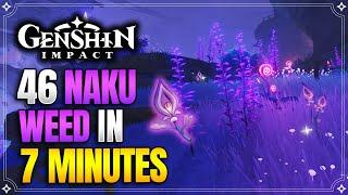 Naku Weed Locations (Old) | Fast and Efficient Route | Yoimiya Ascension Materials |【Genshin Impact】