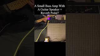 Small Bass Amp With A Guitar Speaker and Reverb Pedal?