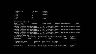 Restoring Connectivity in VMware ESXi