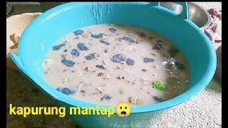 Resep Dan Cara Membuat Kapurung Khas Palopo Sulawesi Selatan