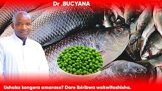 Dr BUCYANA: Ushaka kongera amaraso? Dore ibiribwa wakwifashisha.@BAZINZOBERE