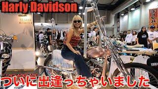 【ハーレー】爆イケバイクが大量なチョッパーショーがヤバすぎた！Harley Davidson