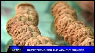 Wealthy Chinese going nuts for walnuts