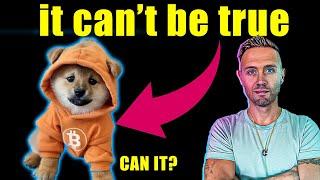 the altcoin that will 100x (dog on bitcoin)