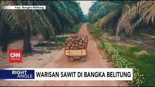 Warisan Sawit di Bangka Belitung