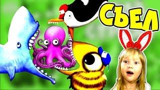 Very HUNGRY ANIMALS Bee MOUSE KOTE OCTOPUS ate the GROUND! Tasty Planet Forever BONUS LEVELS