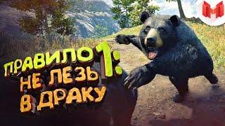 Far Cry 4 "Баги, Приколы, Фейлы"
