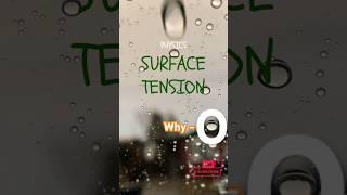 Surface Tension #shorts #education #physics #learning #rain #cr7 #shortvideo #class9and10 #chemistry