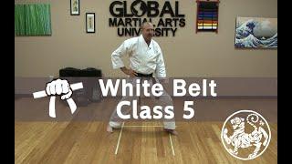 Shotokan Karate Beginner Kata Class - 9th Kyu White Belt - Class 5