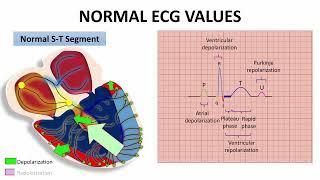 P-R & S-T SEGMENTS AND J POINT  "NORMAL ECG VALUES" | NARCOSIS